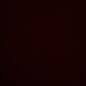 Meet your Posher, Payton